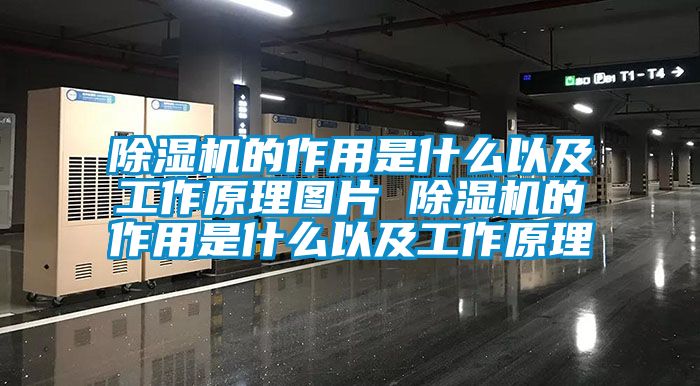 芭乐APP下载官网入口新版的作用是什么以及工作原理图片 芭乐APP下载官网入口新版的作用是什么以及工作原理