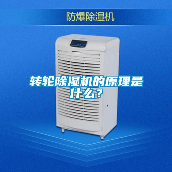 转轮芭乐APP下载官网入口新版的原理是什么？