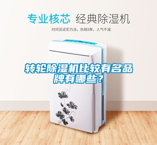 转轮芭乐APP下载官网入口新版比较有名品牌有哪些？