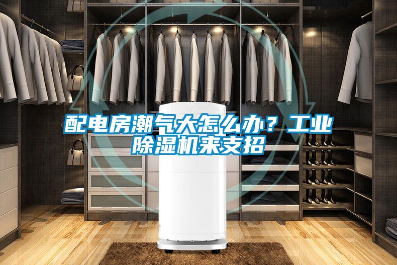 配电房潮气大怎么办？工业芭乐APP下载官网入口新版来支招