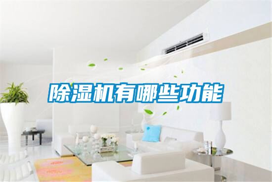 芭乐APP下载官网入口新版有哪些功能