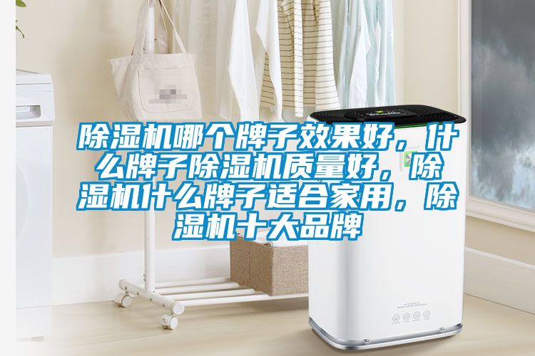 芭乐APP下载官网入口新版哪个牌子效果好，什么牌子芭乐APP下载官网入口新版质量好，芭乐APP下载官网入口新版什么牌子适合家用，芭乐APP下载官网入口新版十大品牌