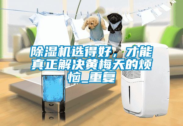 芭乐APP下载官网入口新版选得好，才能真正解决黄梅天的烦恼_重复