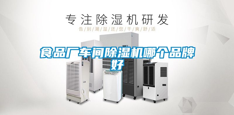 食品厂车间芭乐APP下载官网入口新版哪个品牌好