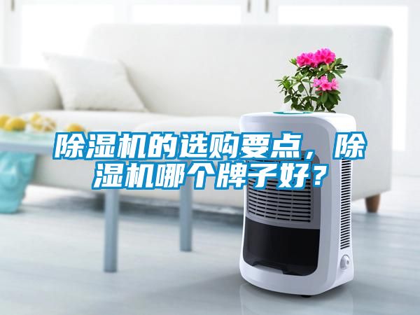 芭乐APP下载官网入口新版的选购要点，芭乐APP下载官网入口新版哪个牌子好？