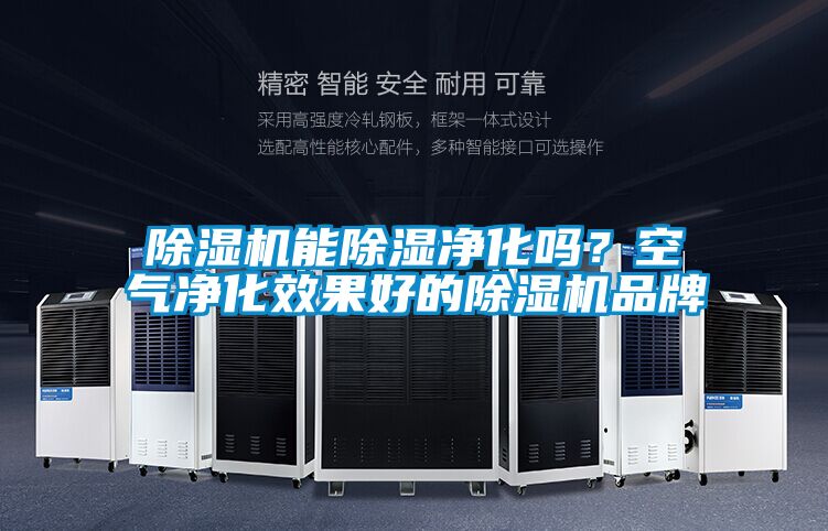 芭乐APP下载官网入口新版能除湿净化吗？空气净化效果好的芭乐APP下载官网入口新版品牌