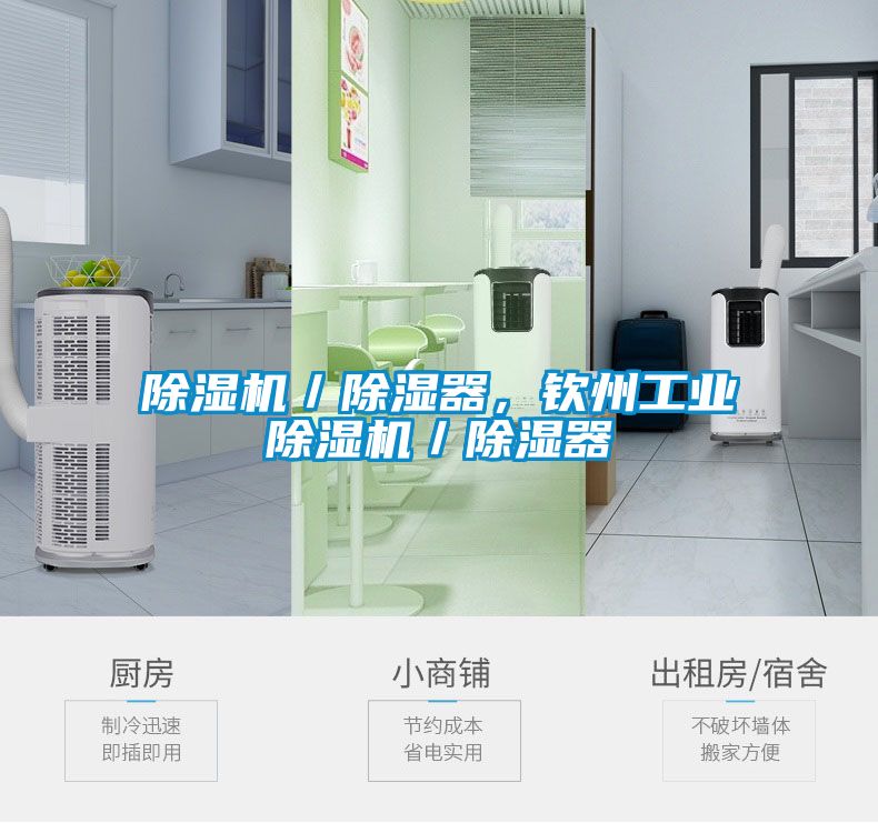 芭乐APP下载官网入口新版／除湿器，钦州工业芭乐APP下载官网入口新版／除湿器