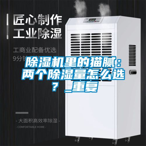 芭乐APP下载官网入口新版里的猫腻：两个除湿量怎么选？_重复
