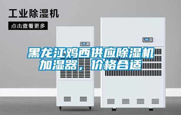 黑龙江鸡西供应芭乐APP下载官网入口新版加湿器，价格合适